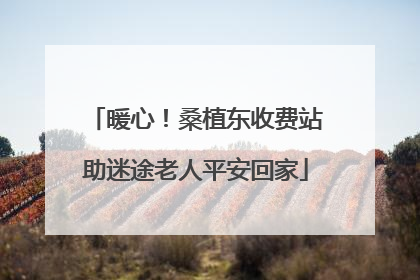 暖心！桑植东收费站助迷途老人平安回家