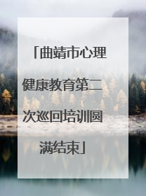 曲靖市心理健康教育第二次巡回培训圆满结束
