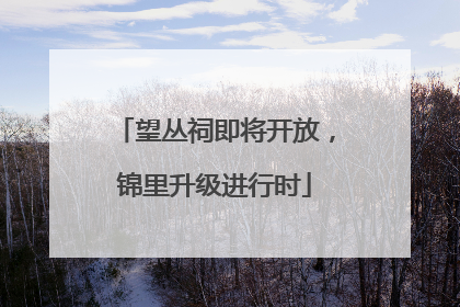 望丛祠即将开放，锦里升级进行时