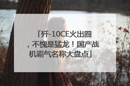 歼-10CE火出圈，不愧是猛龙！国产战机霸气名称大盘点