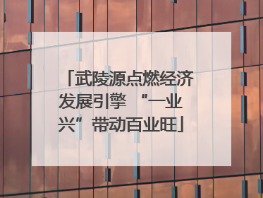 武陵源点燃经济发展引擎 “一业兴”带动百业旺