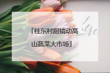桂东村厨撬动高山蔬菜大市场