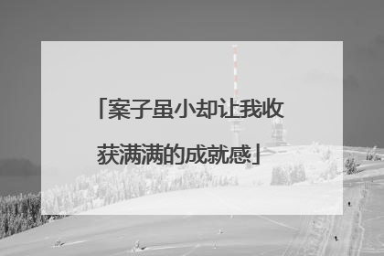 案子虽小却让我收获满满的成就感