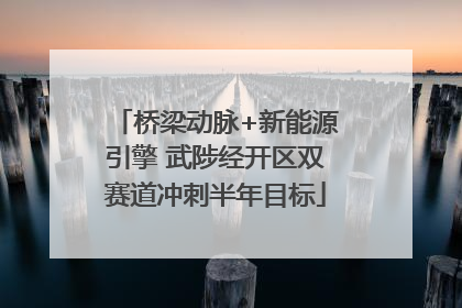桥梁动脉+新能源引擎 武陟经开区双赛道冲刺半年目标