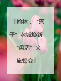 榆林：“落子”老城焕新 “盘活”文旅蝶变