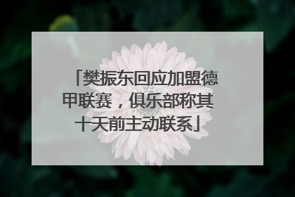 樊振东回应加盟德甲联赛，俱乐部称其十天前主动联系