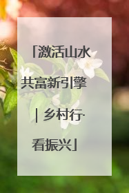 激活山水共富新引擎｜乡村行·看振兴