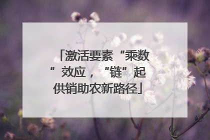 激活要素“乘数”效应，“链”起供销助农新路径