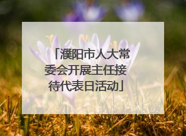 濮阳市人大常委会开展主任接待代表日活动