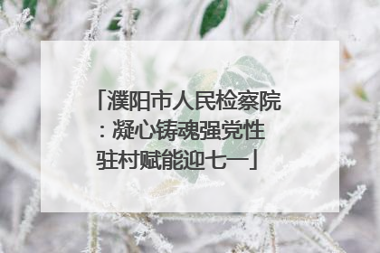 濮阳市人民检察院：凝心铸魂强党性 驻村赋能迎七一
