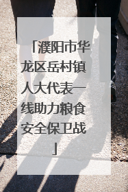 濮阳市华龙区岳村镇人大代表一线助力粮食安全保卫战