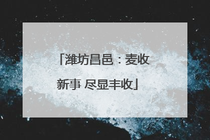 潍坊昌邑：麦收新事 尽显丰收