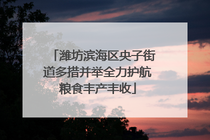 潍坊滨海区央子街道多措并举全力护航粮食丰产丰收