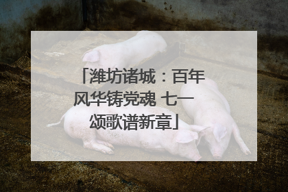 潍坊诸城：百年风华铸党魂 七一颂歌谱新章