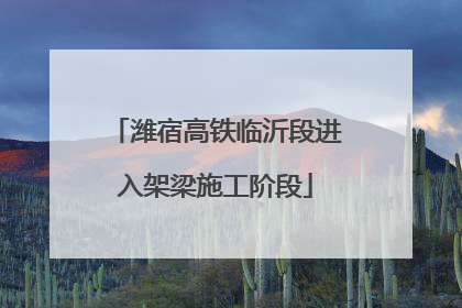 潍宿高铁临沂段进入架梁施工阶段