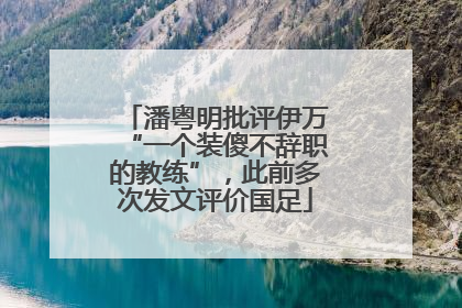 潘粤明批评伊万“一个装傻不辞职的教练”，此前多次发文评价国足