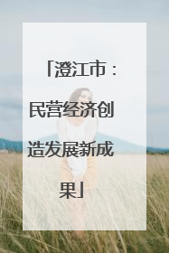 澄江市：民营经济创造发展新成果