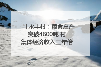 永丰村：粮食总产突破4600吨 村集体经济收入三年倍增｜牵挂的村