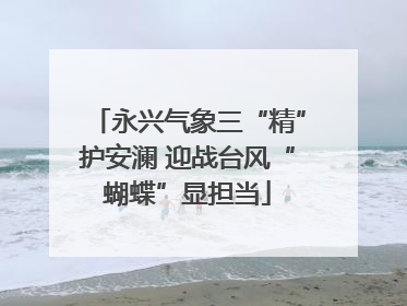 永兴气象三“精”护安澜 迎战台风“蝴蝶”显担当