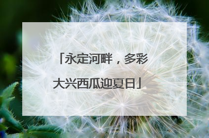 永定河畔，多彩大兴西瓜迎夏日