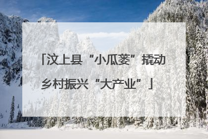 汶上县“小瓜蒌”撬动乡村振兴“大产业”