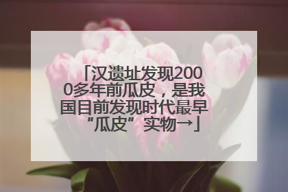 汉遗址发现2000多年前瓜皮，是我国目前发现时代最早“瓜皮”实物→