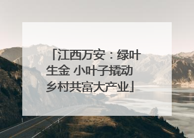江西万安：绿叶生金 小叶子撬动乡村共富大产业