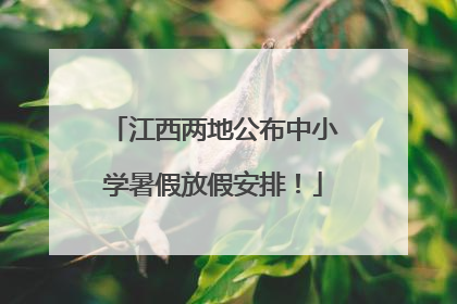 江西两地公布中小学暑假放假安排！