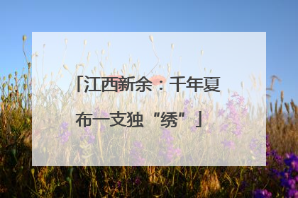 江西新余：千年夏布一支独“绣”
