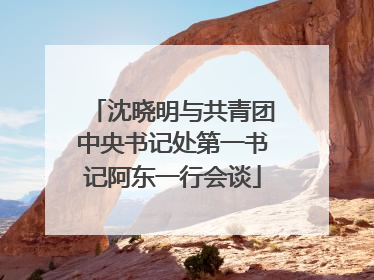 沈晓明与共青团中央书记处第一书记阿东一行会谈
