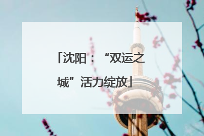 沈阳：“双运之城”活力绽放