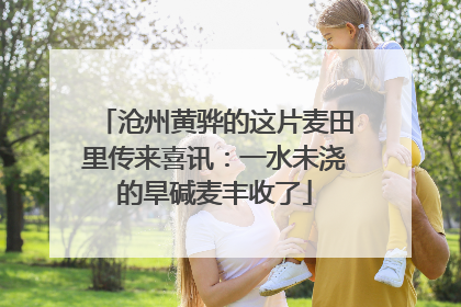 沧州黄骅的这片麦田里传来喜讯：一水未浇的旱碱麦丰收了