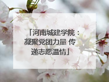 河南城建学院：凝聚党团力量 传递志愿温情
