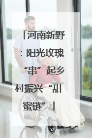 河南新野：阳光玫瑰“串”起乡村振兴“甜蜜链”