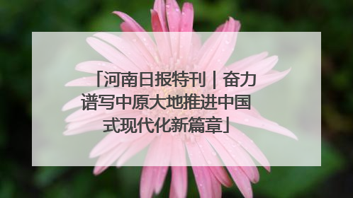 河南日报特刊｜奋力谱写中原大地推进中国式现代化新篇章