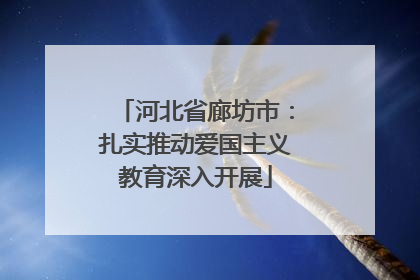 河北省廊坊市：扎实推动爱国主义教育深入开展