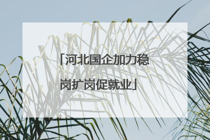 河北国企加力稳岗扩岗促就业
