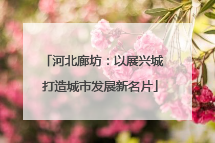 河北廊坊：以展兴城 打造城市发展新名片