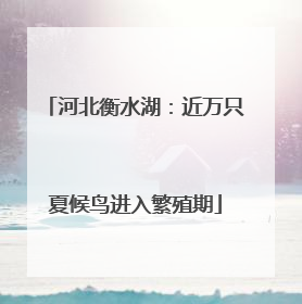 河北衡水湖：近万只夏候鸟进入繁殖期