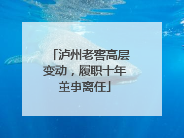泸州老窖高层变动，履职十年董事离任