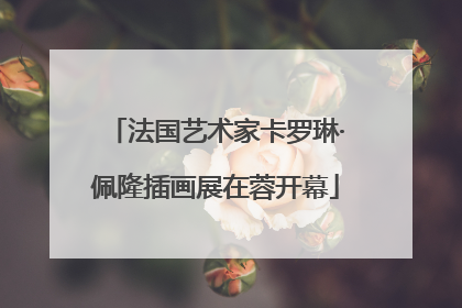 法国艺术家卡罗琳·佩隆插画展在蓉开幕