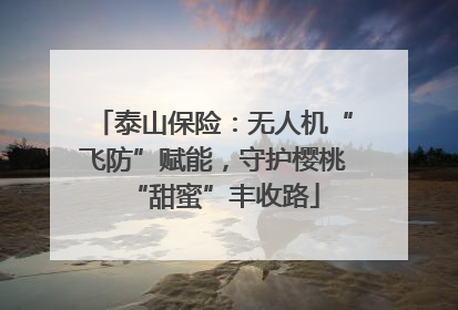 泰山保险：无人机“飞防”赋能，守护樱桃“甜蜜”丰收路