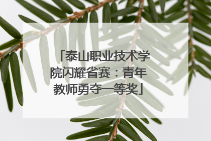 泰山职业技术学院闪耀省赛：青年教师勇夺一等奖