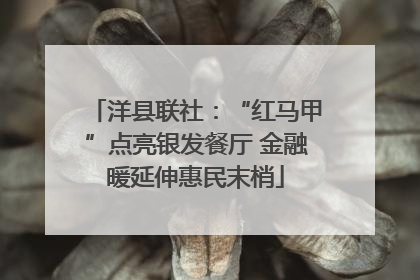 洋县联社：“红马甲”点亮银发餐厅 金融暖延伸惠民末梢