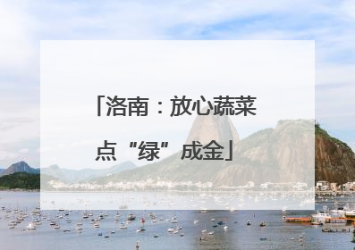 洛南：放心蔬菜点“绿”成金