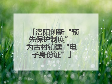 洛阳创新“预先保护制度” 为古村镇建“电子身份证”