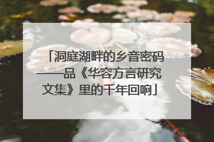 洞庭湖畔的乡音密码——品《华容方言研究文集》里的千年回响