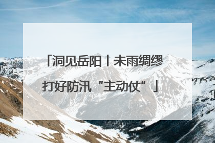 洞见岳阳丨未雨绸缪 打好防汛“主动仗”