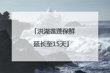 洪湖莲蓬保鲜延长至15天