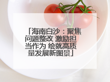 海南白沙：聚焦问题整改 激励担当作为 绘就高质量发展新图景